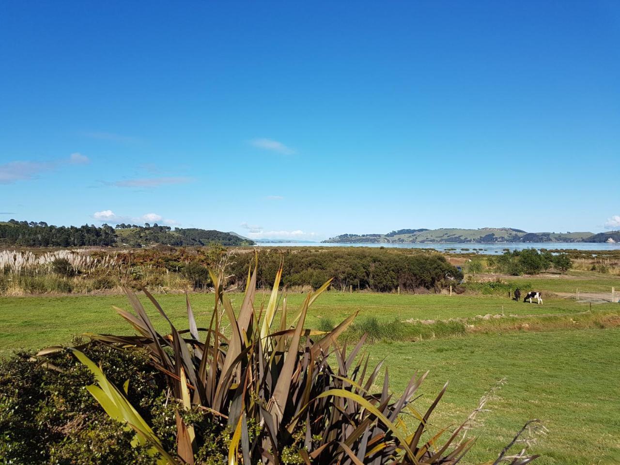 Hotel The Little Farm Coromandel Exterior foto